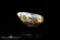 Preview: Jundah opalized wood Boulder Opal - 6,8ct