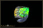 Preview: Andamooka Opal Rough "Deep sea fish" - 18,00ct