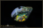 Preview: Andamooka Opal Rough "Deep sea fish" - 18,00ct