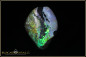 Preview: Andamooka Opal Rough "Deep sea fish" - 18,00ct
