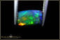 Preview: Welo opal faceted in scissor cut - 1,33ct - smoked