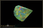 Preview: Gorgeous colorful Andamooka rough opal 13,65ct