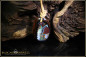 Preview: Koroit Boulder Opal Pendant - 48,48ct