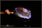 Preview: Koroit Boulder Opal Pendant - 48,48ct
