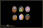 Preview: 6 pieces Welo Opal Cabochon Lot- 5,28ct