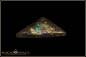 Preview: Winton opalized wood Boulder Opal - 20,32ct