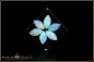Preview: 6 pieces fiery Coober Pedy full opal cabochon navettes - calibrated - 0,96ct