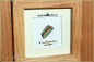 Preview: Winton Boulder Opal - 11,90ct - Black Edition in 12x12cm Gleditschie wooden frame