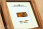 Preview: Andamooka Opal Slice - 6,08ct - Silver Edition in 12x12cm Gonzalo Alves Wood Frame