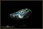 Preview: Bunter Winton Boulder Matrix Opal - 30,41ct