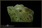 Preview: Andamooka rough opal - 60,53ct