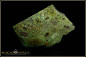 Preview: Andamooka rough opal - 60,53ct