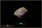 Preview: Jundah opalized wood boulder opal 5,82ct