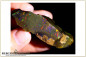 Preview: Dark Base Welo crystal rough - 114ct