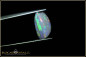 Preview: Coober Pedy opalized shell - 1.00ct