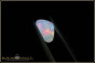 Preview: White opal from the West Side field in White Cliffs with 1,25ct.