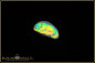 Preview: Stunning extremely bright dark opal from Lightning Ridge - N6 Body Tone - Brilliance B1 - 1.81ct