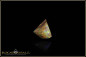 Preview: Jundah opalized wood boulder opal 2,73ct