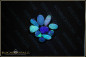 Preview: 10 Pcs. Lightning Ridge Opal Doublet - 2,58ct