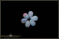 Preview: 6 pieces colorful Coober Pedy full opal cabochon pears - calibrated - 1,55ct