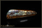 Preview: Yowah opalized wood boulder opal - 23,70ct