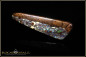 Preview: Yowah opalized wood boulder opal - 23,70ct