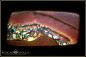 Preview: Yowah Boulder Opal from "Brandy Gully Mine" - 59,35ct