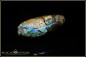Preview: Yowah opalized wood boulder opal 15,43ct