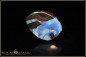 Preview: Winton Boulder Opal - 22,48ct