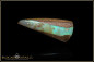 Preview: Jundah Opalized Wood Boulder Opal - 15,89ct