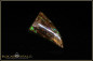 Preview: Koroit matrix rough Opal - 17,46ct