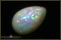 Preview: Giant Welo Pinfire Opal pear Cabochon - 24,30ct