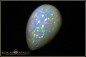 Preview: Giant Welo Pinfire Opal pear Cabochon - 24,30ct