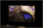 Preview: Jundah Opalized Wood Boulder Opal - 71,47ct