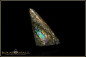 Preview: Winton opalized wood Boulder Opal - 9,21ct