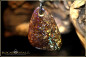 Preview: Yowah Boulder Opal Pendant - 47,40ct