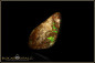 Preview: Jundah opalized wood boulder opal - 6,65ct