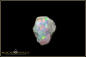 Preview: Welo rough opal - 14,25ct