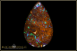 Preview: Koroit Matrix Boulder Opal - 20,06ct