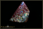 Preview: Koroit Boulder Opal - 22,00ct