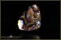 Preview: Yowah Boulder Opal - 32,15ct