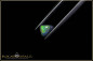 Preview: Lightning Ridge Black Opal - green - N4 Body Tone - Brillanz B4 - 0,72ct