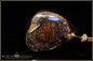 Preview: Yowah Boulder Opal Pendant - 49.30ct