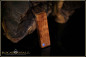 Preview: 1 pcs. Australian Blackwood - Coober Pedy Opal Doublet Pendant