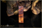 Preview: 1 pcs. Desert Ironwood Burl- Coober Pedy Opal Doublet Pendant