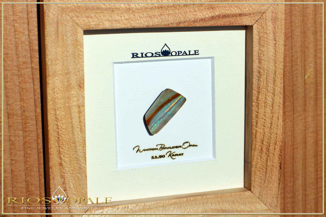 Winton Boulder Opal - 11,90ct - Black Edition in 12x12cm Gleditschie wooden frame