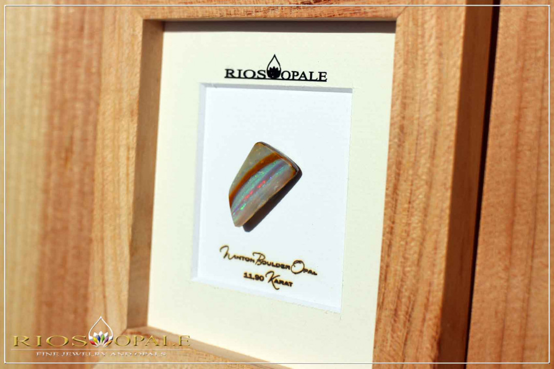 Winton Boulder Opal - 11,90ct - Black Edition in 12x12cm Gleditschie wooden frame