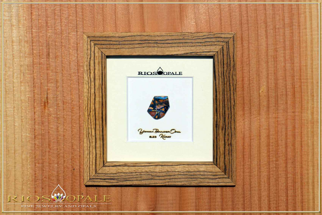 Yowah Boulder Opal - 8,23ct - Black Edition in 12x12cm Zebrano wood frame