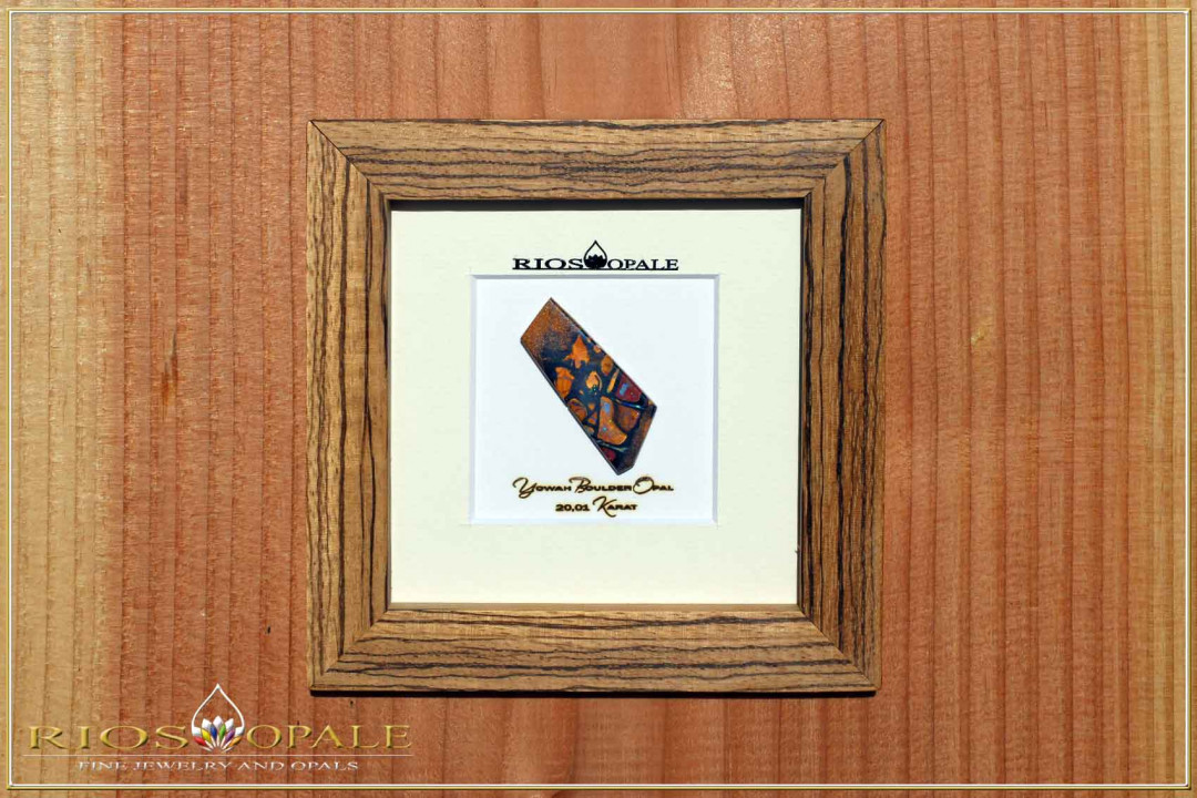 Yowah Matrix Boulder Opal - 20,01ct - Black Edition in 12x12cm Zebrano wood Frame