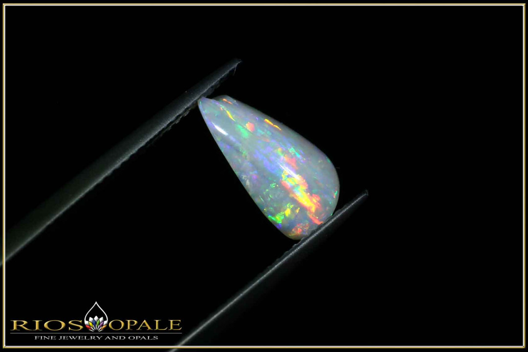 Coober Pedy opalized shell - 1.00ct